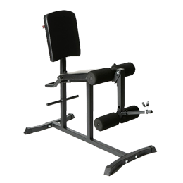 Weight Bench with Leg Extension LE-001