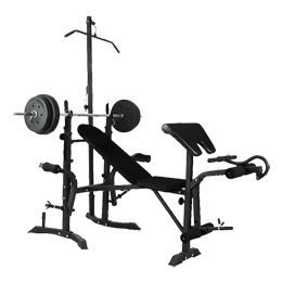  Multi-functional Strength Training Weight Bench