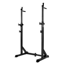 DP-SR001