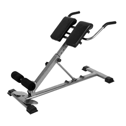 ROMAN CHAIR RB-S005