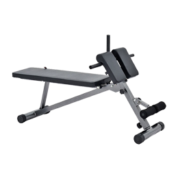 ZYFIT Roman Chair Back Extension Machine - Lower B
