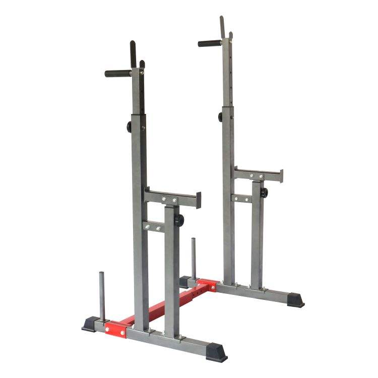 Multi-Function power Rack Dip Bar DP-SR004